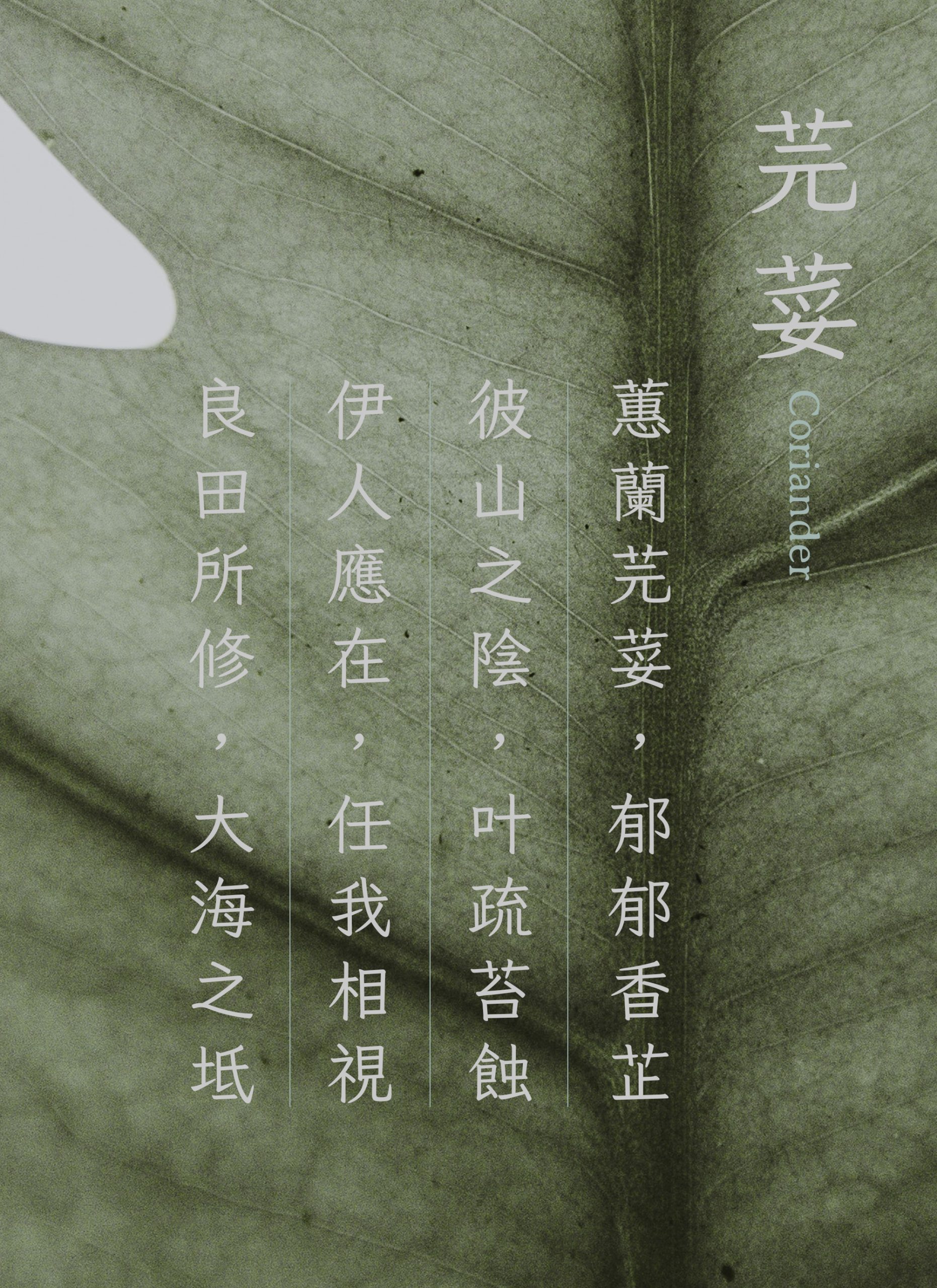 zt-25.jpg